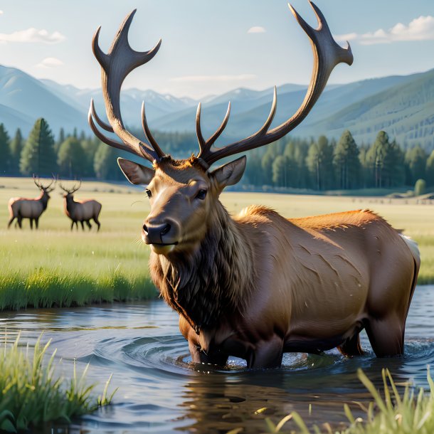Image of a swimming of a elk on the field