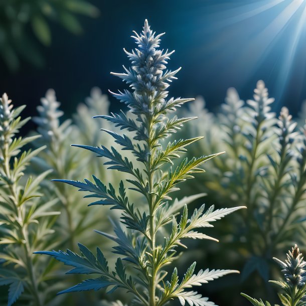 Photographie d'un mugwort azure