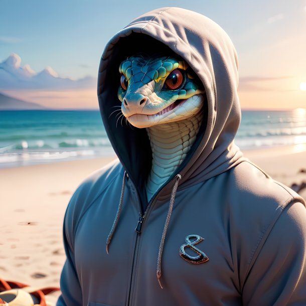 Foto de una serpiente en una sudadera con capucha en la playa