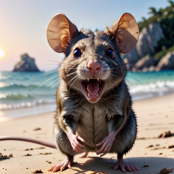 Imagem de uma raiva de um rato na praia