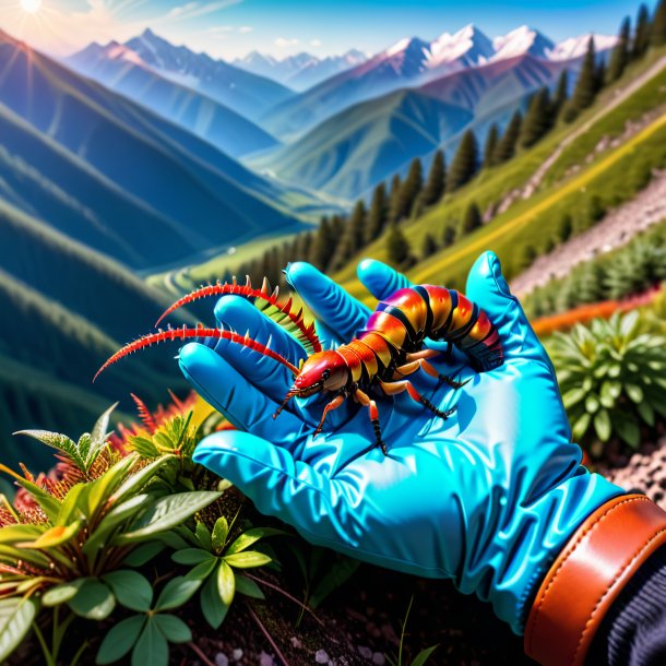 Photo of a centipede in a gloves in the mountains