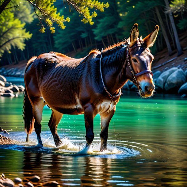 Foto de una mula en un abrigo en el agua