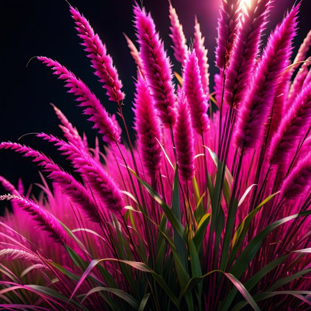 Picture of a hot pink reed