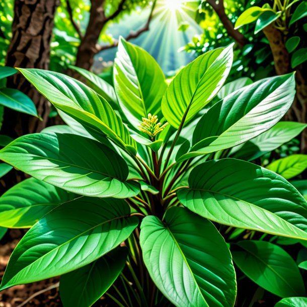 Representación de una dittany verde de hormigón