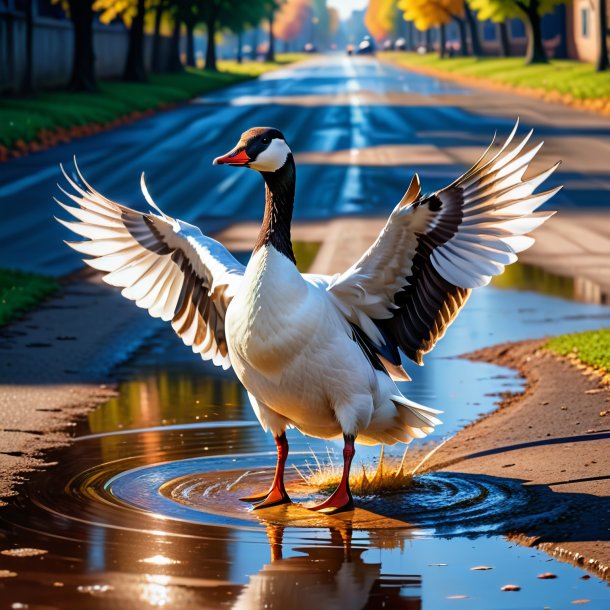 Photo of a dancing of a goose in the puddle