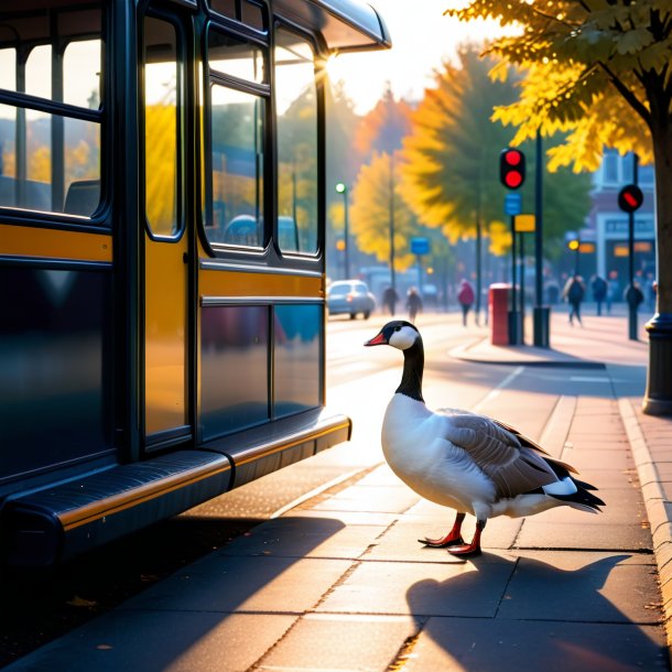 Photo of a playing of a goose on the bus stop