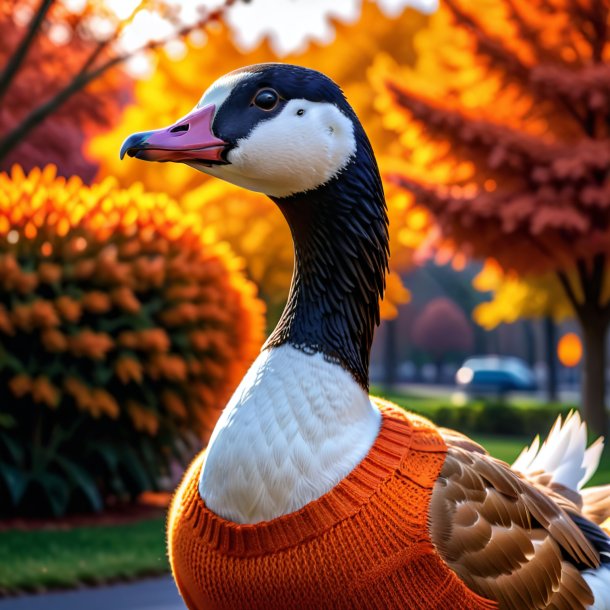 Pic of a goose in a orange sweater