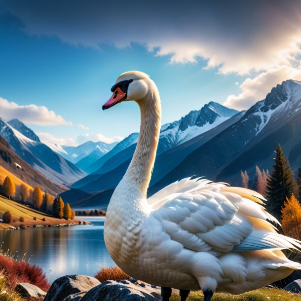 Pic of a swan in a coat in the mountains