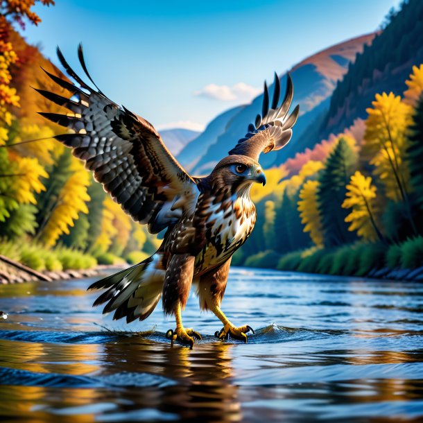 Photo d'un faucon dans une ceinture dans la rivière