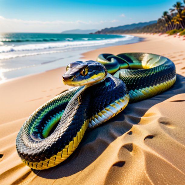 De uma cobra em um casaco na praia