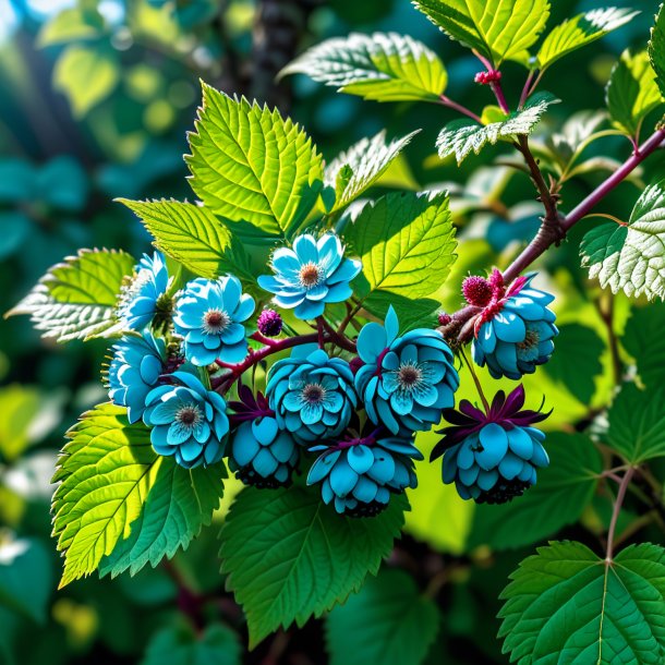 Photography of a cyan bramble