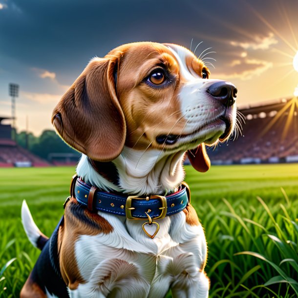 Imagen de un beagle en un cinturón en el campo