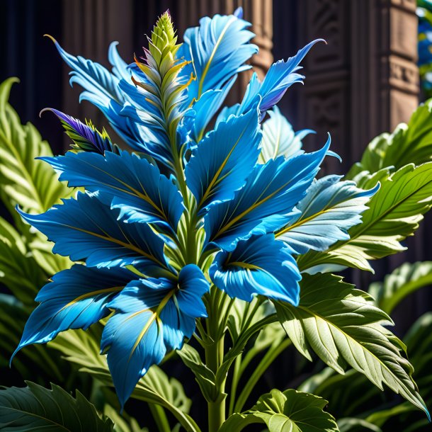 Photo of a azure acanthus