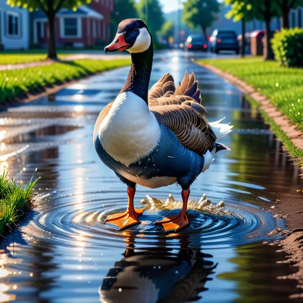 Image of a goose in a jeans in the puddle