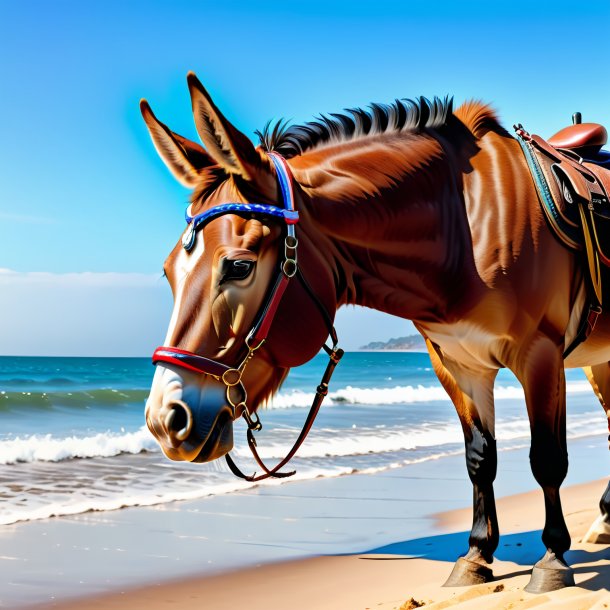 Imagen de una mula en guantes en la playa