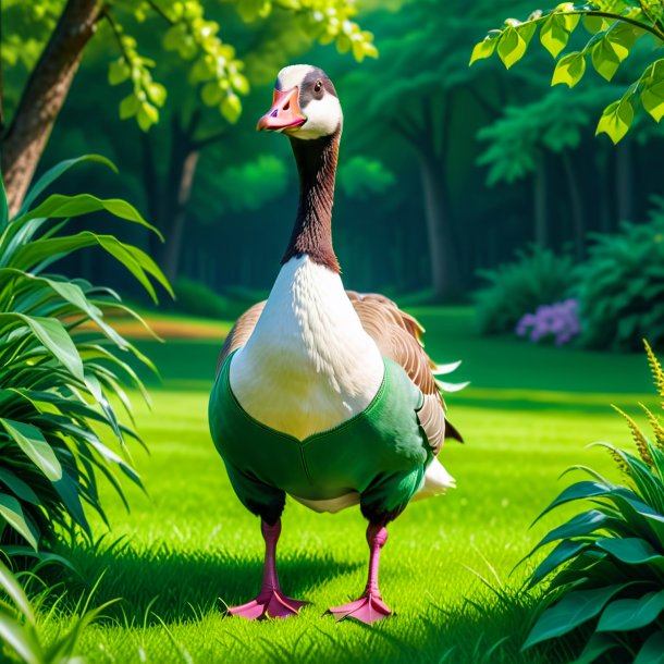 Picture of a goose in a green jeans