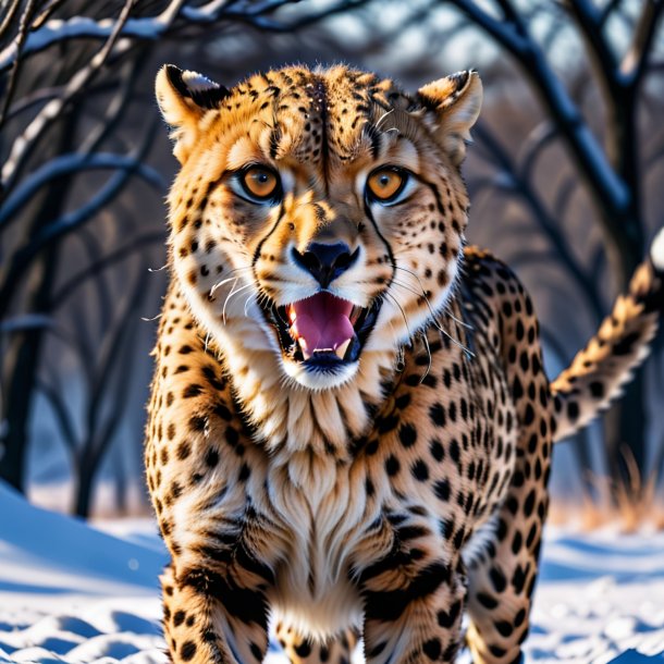 Photo of a threatening of a cheetah in the snow