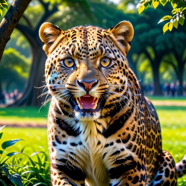 Foto de una sonrisa de un leopardo en el parque