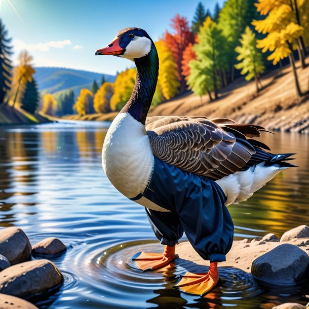 Pic of a goose in a trousers in the river