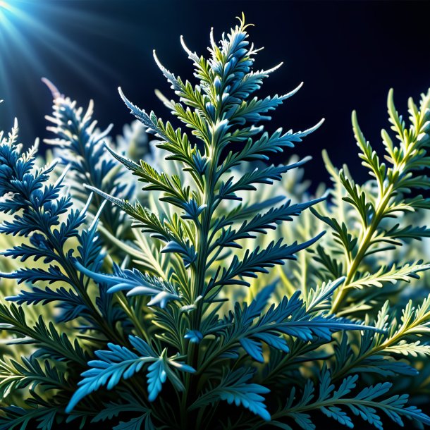 Illustration of a blue wormwood