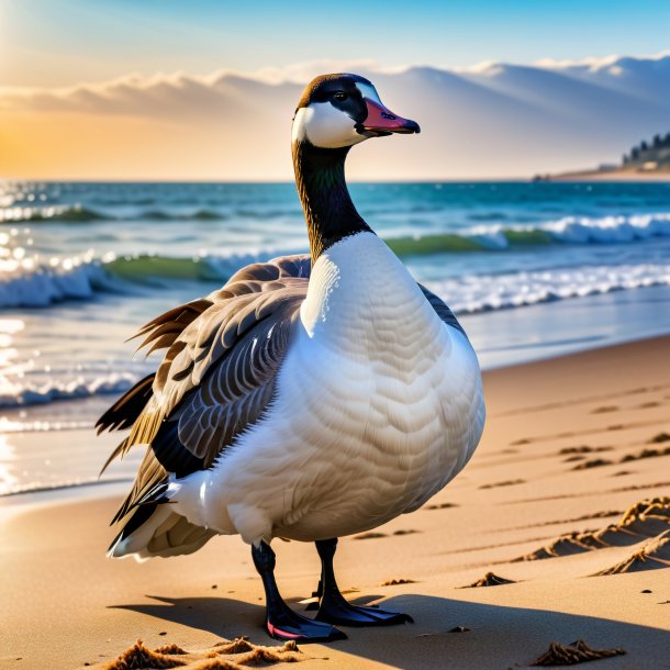 Foto de un ganso en un abrigo en la playa