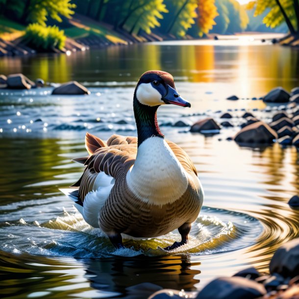 Picture of a goose in a vest in the river