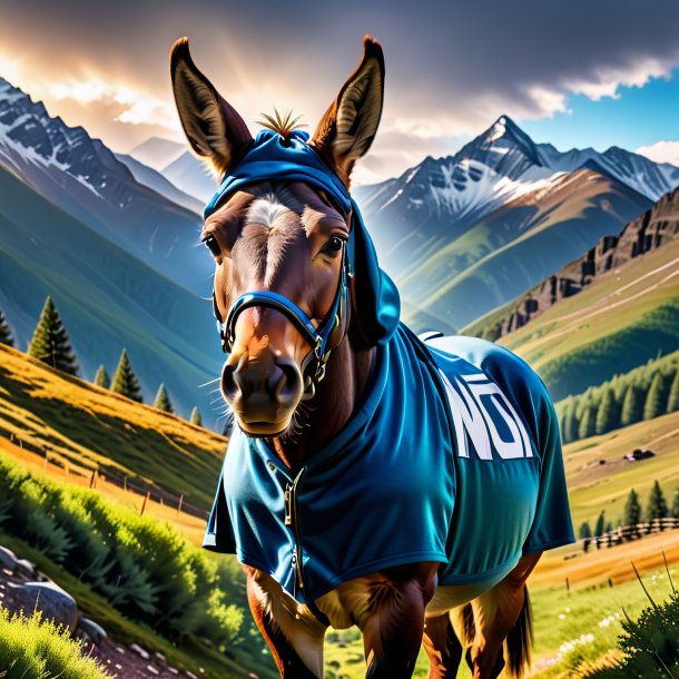 Pic of a mule in a hoodie in the mountains