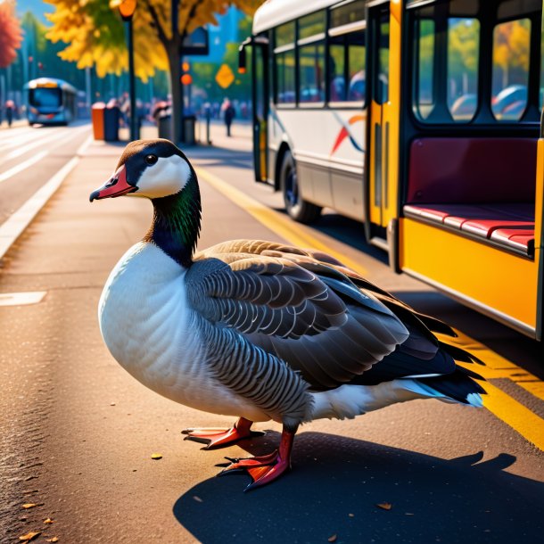 Imagem de um descanso de um ganso no ponto de ônibus