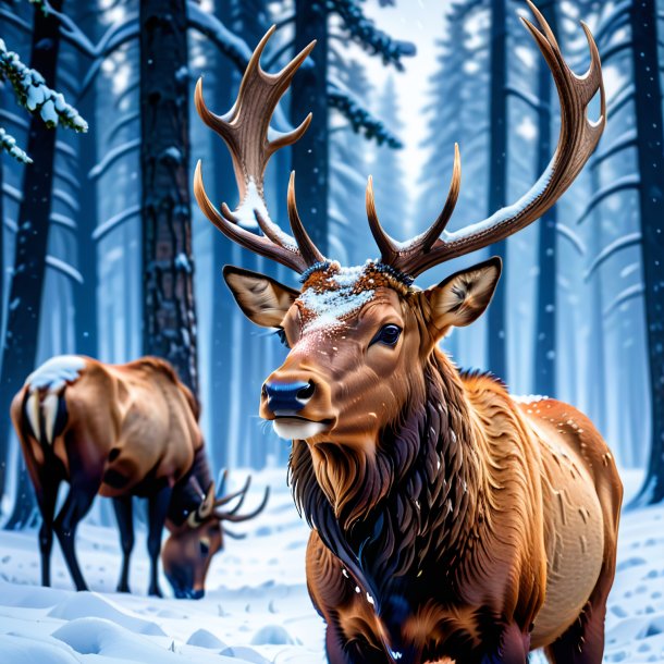 Image d'un cri d'un wapiti dans la neige