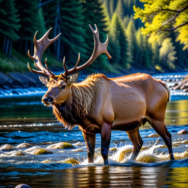 Pic of a elk in a belt in the river