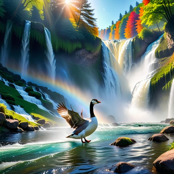 Pic of a swimming of a goose in the waterfall