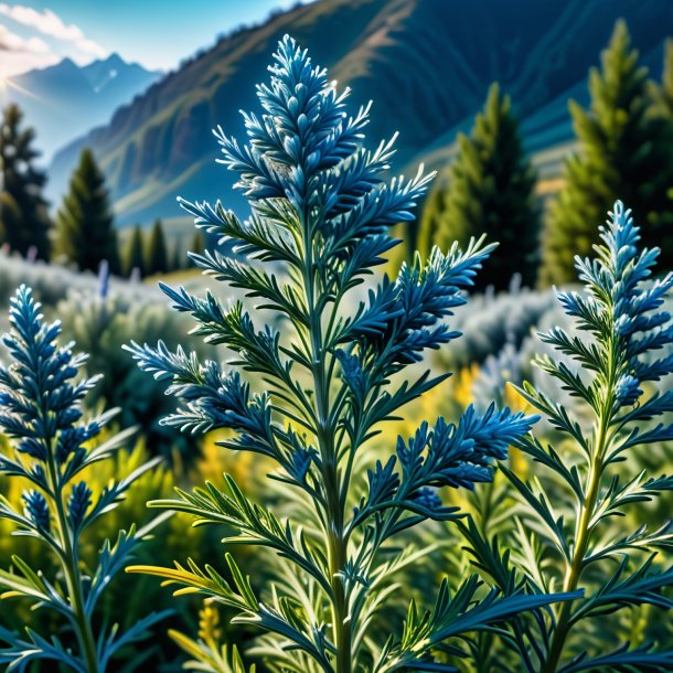 Photography of a azure wormwood