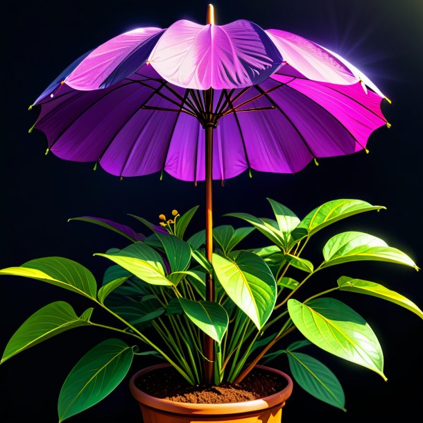 Sketch of a plum umbrella plant