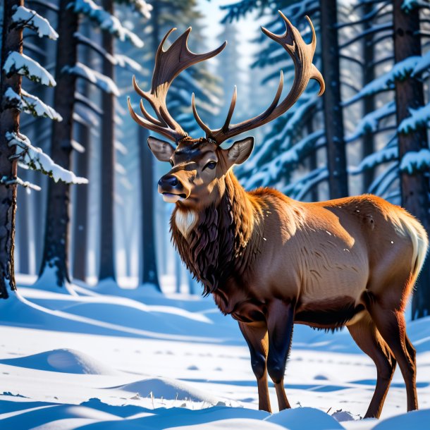 Foto de un alce en un cinturón en la nieve