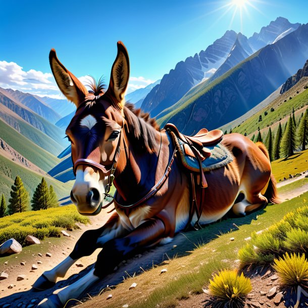 Picture of a resting of a mule in the mountains