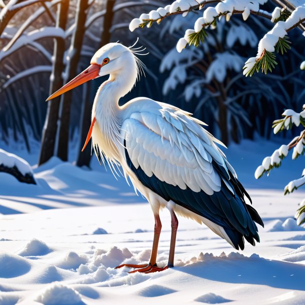 Photo of a resting of a stork in the snow