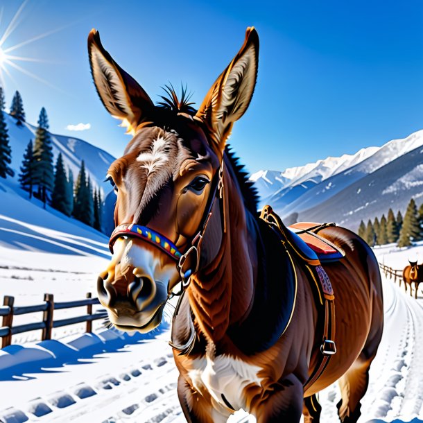 Pic of a mule in a belt in the snow