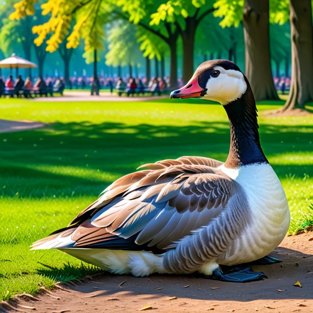 Photo of a resting of a goose in the park