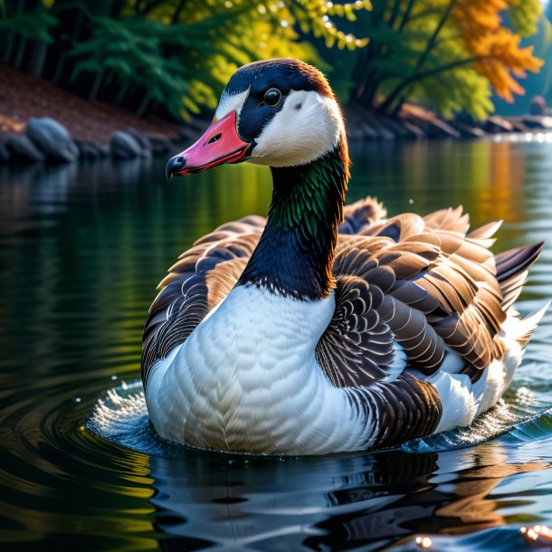 Photo of a goose in a coat in the water