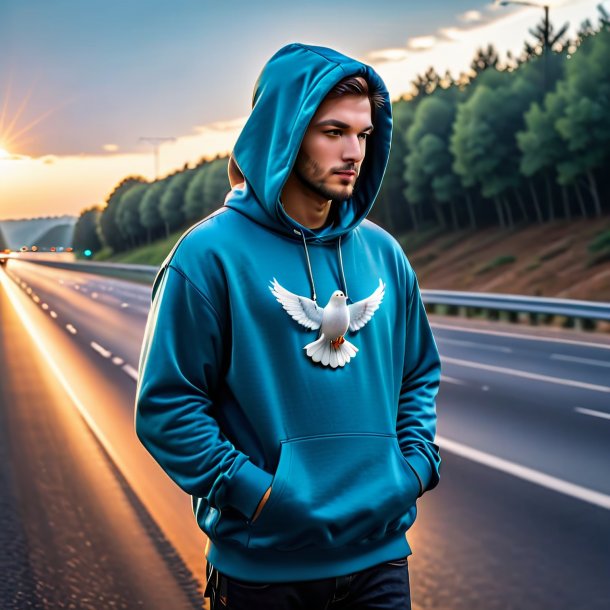 Image of a dove in a hoodie on the highway