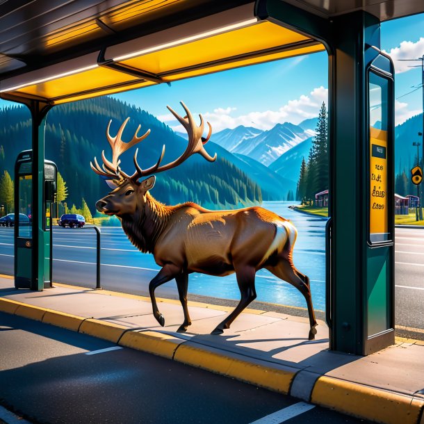 Image of a swimming of a elk on the bus stop