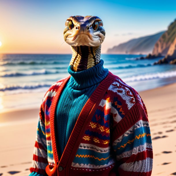 Photo of a cobra in a sweater on the beach