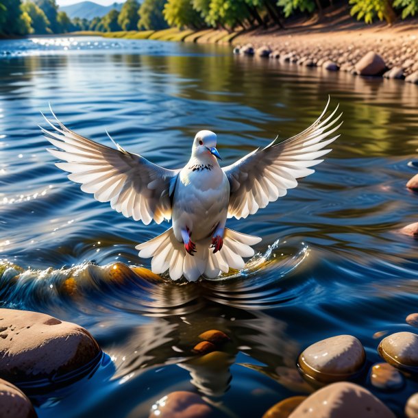 Imagen de una paloma en un jeans en el río