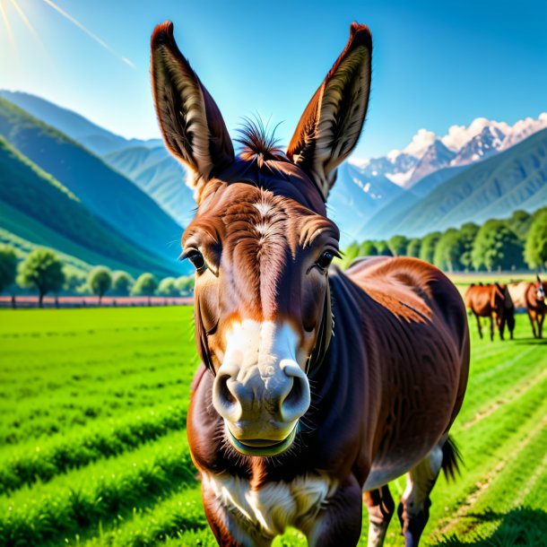 Photo of a smiling of a mule on the field