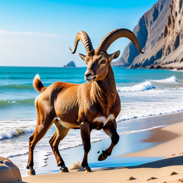 Picture of a playing of a ibex on the beach