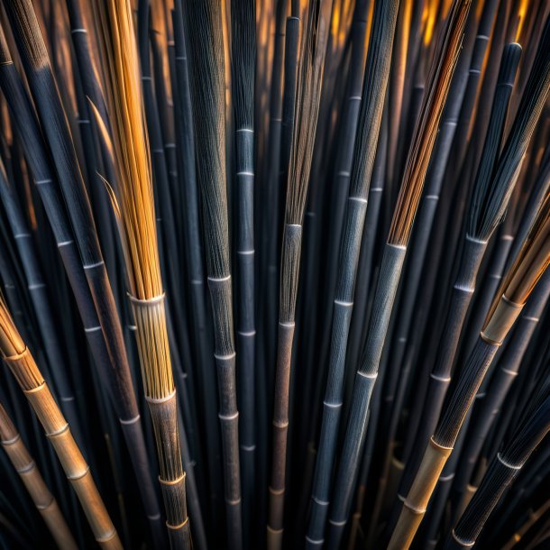 Photography of a charcoal reed
