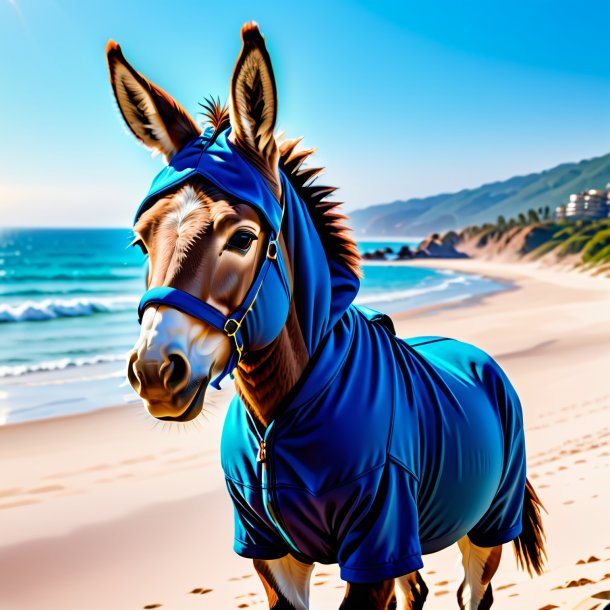 Photo of a donkey in a hoodie on the beach