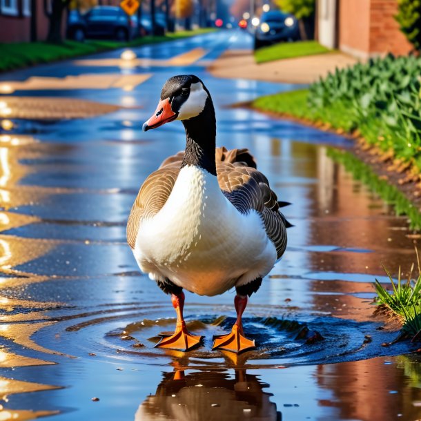 Picture of a goose in a vest in the puddle