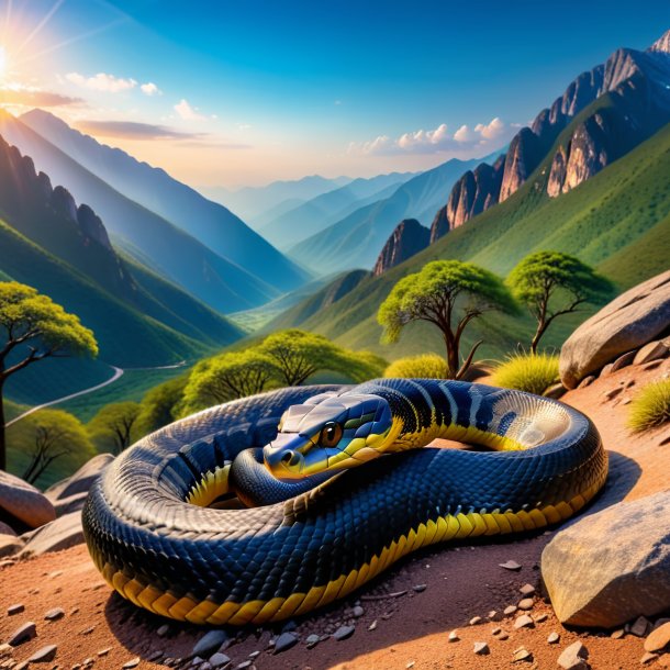 Pic of a resting of a cobra in the mountains