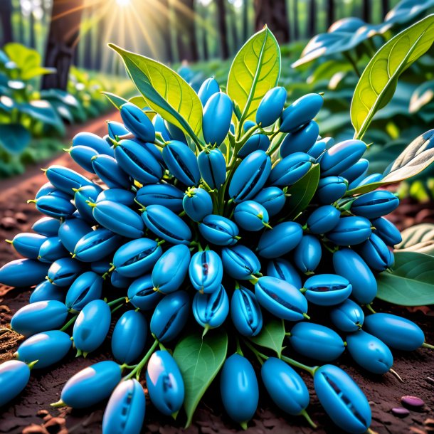 Photo of a blue buck-bean